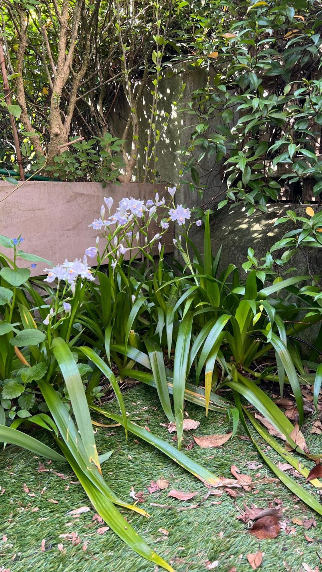 Garden Suite Bolzano Exteriör bild
