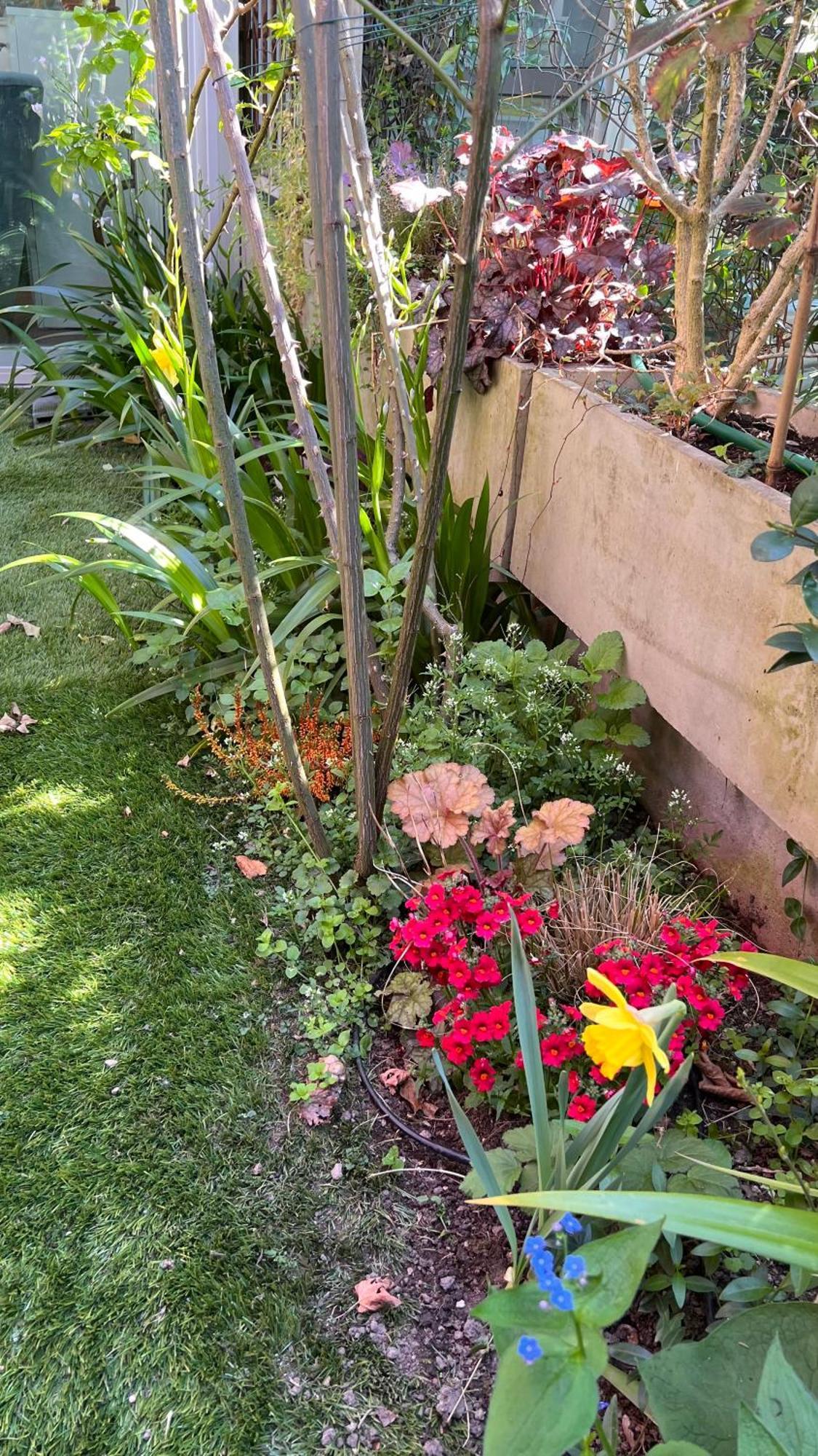 Garden Suite Bolzano Exteriör bild